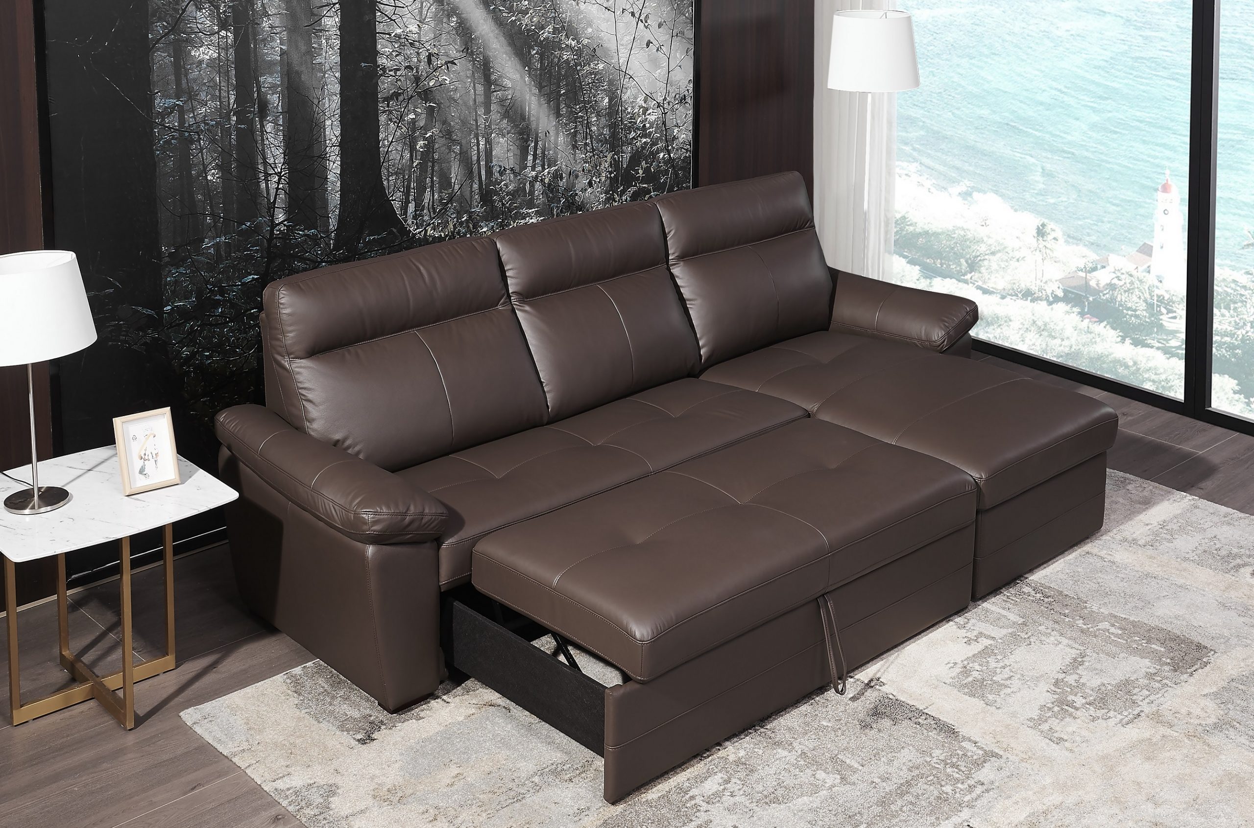 leather sectional pull out sofa