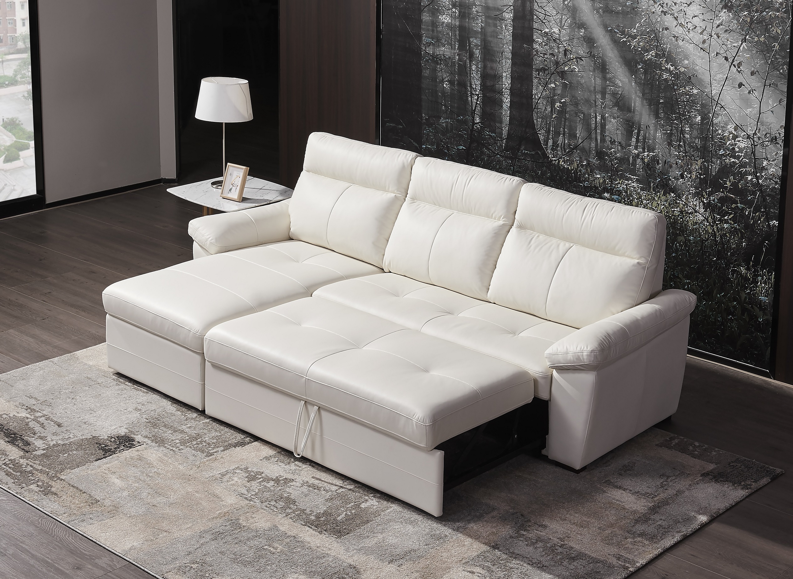 sofa with chaise and pull out bed